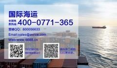 美国海运爆料视频最新版,揭秘航运业内幕与挑战